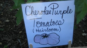 Check Out our Homemade Garden Signs